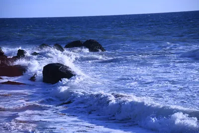 DSC_0546 (Large).JPG